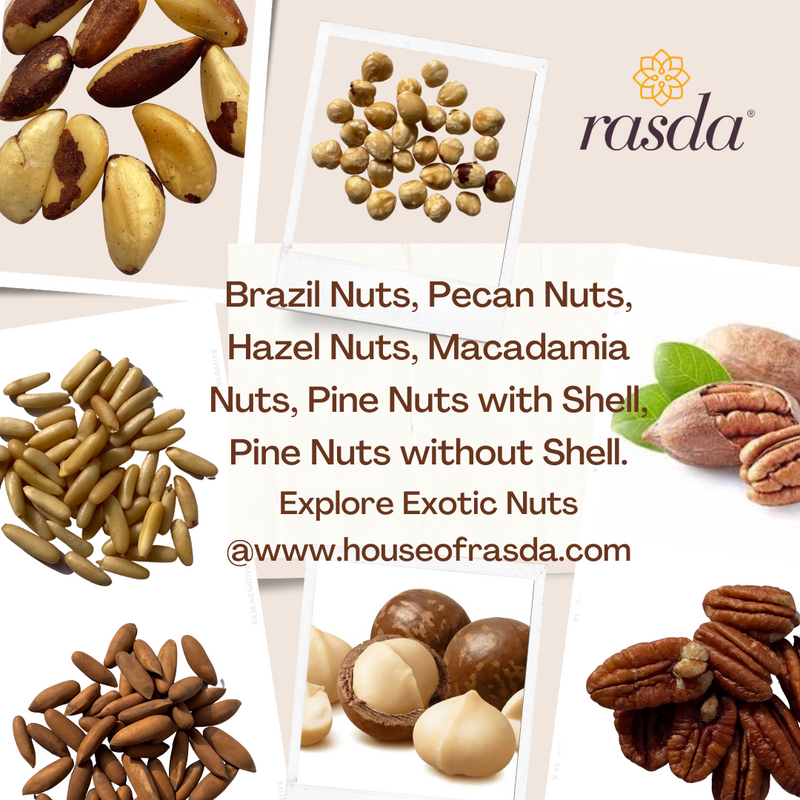 Exotic Nuts Jumbo Guide – Macadamia, Brazil, Pecan, Hazelnut & Pine Nuts | House of Rasda
