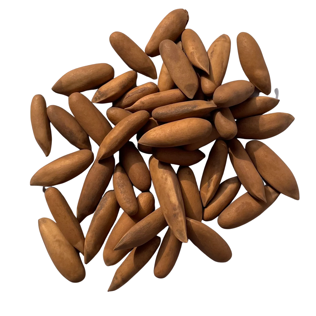 Discover Exotic Pine Nuts: House of Rasda's Finest