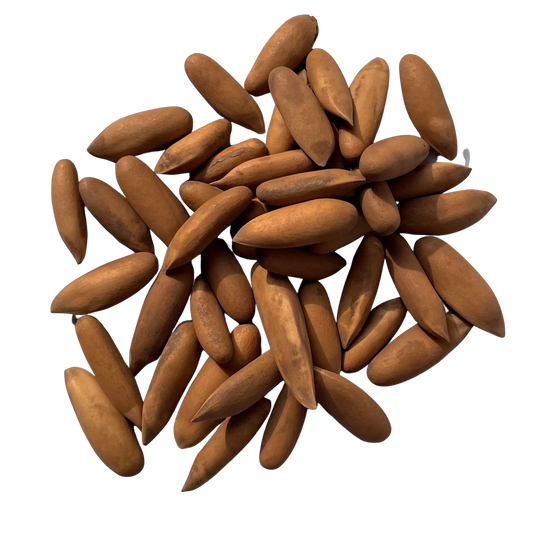 Discover Exotic Pine Nuts: House of Rasda's Finest