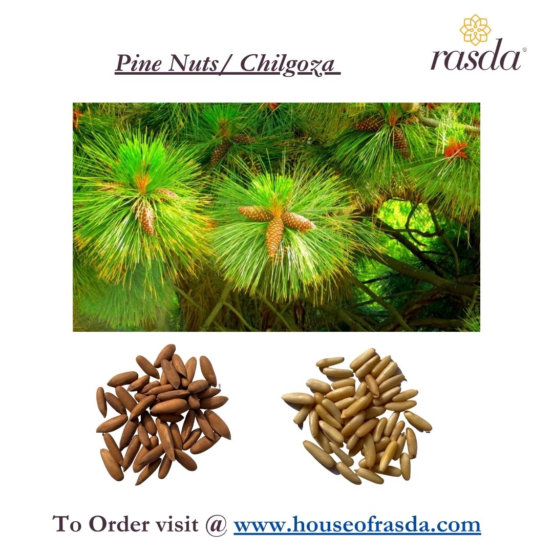 A Perfect Guide on Pine Nuts Popularity And Benefits – House of Rasda