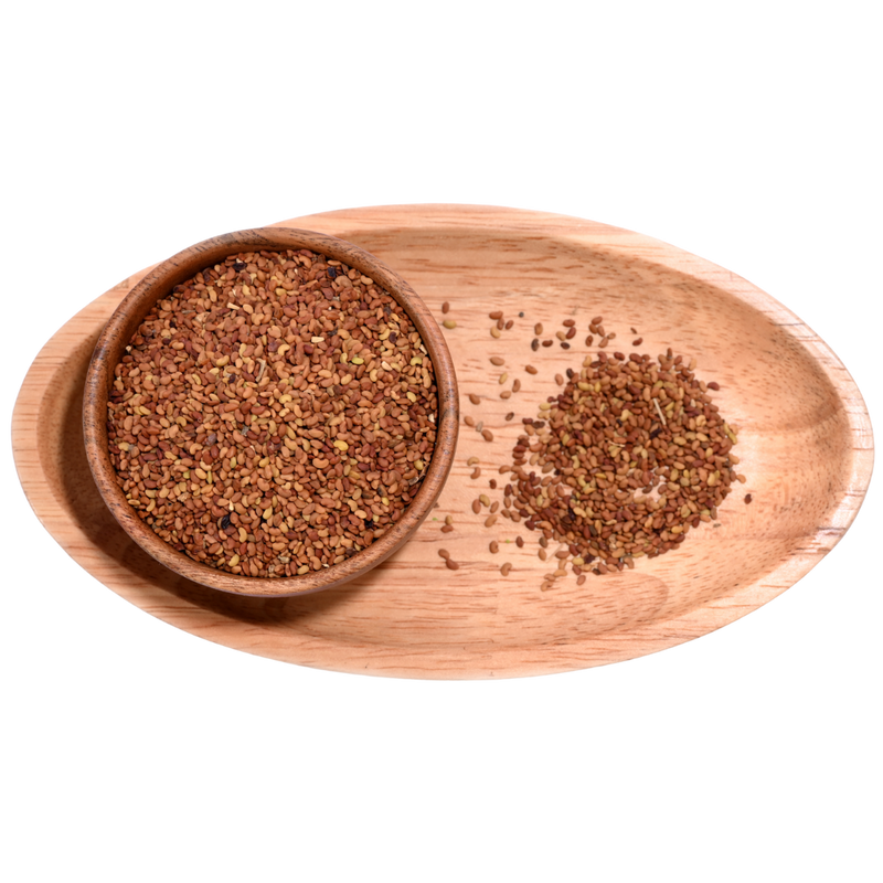 Best Micro Greens with Alfalfa seeds