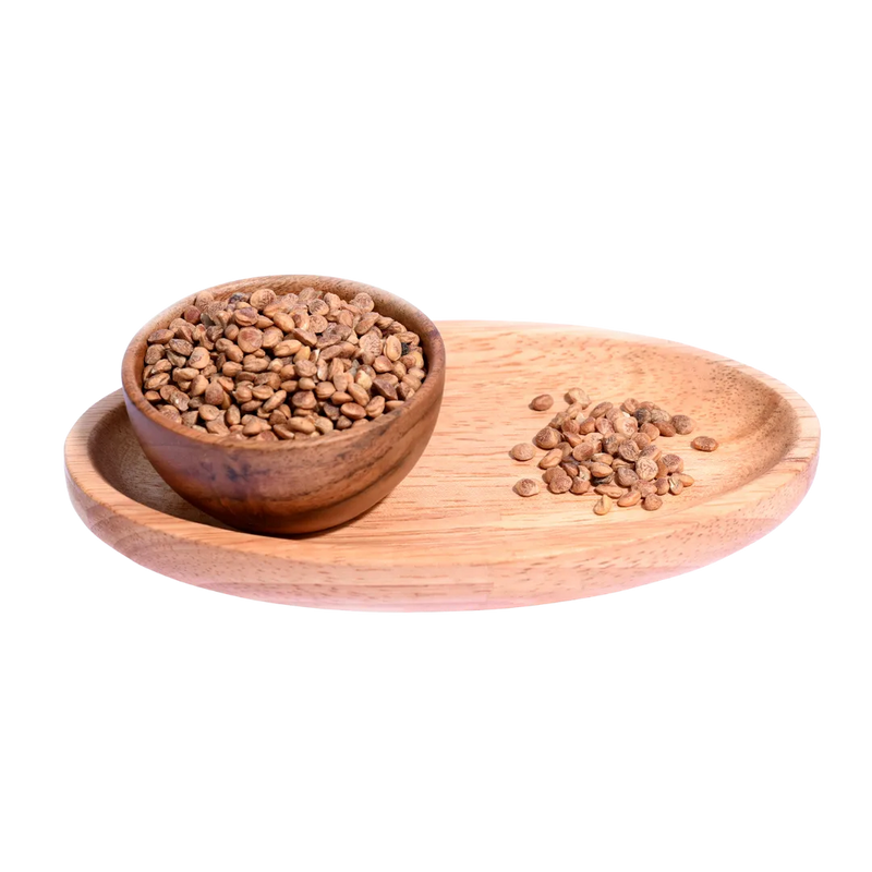 Premium Charoli Seeds Chironji for Sweets and Traditional Recipes