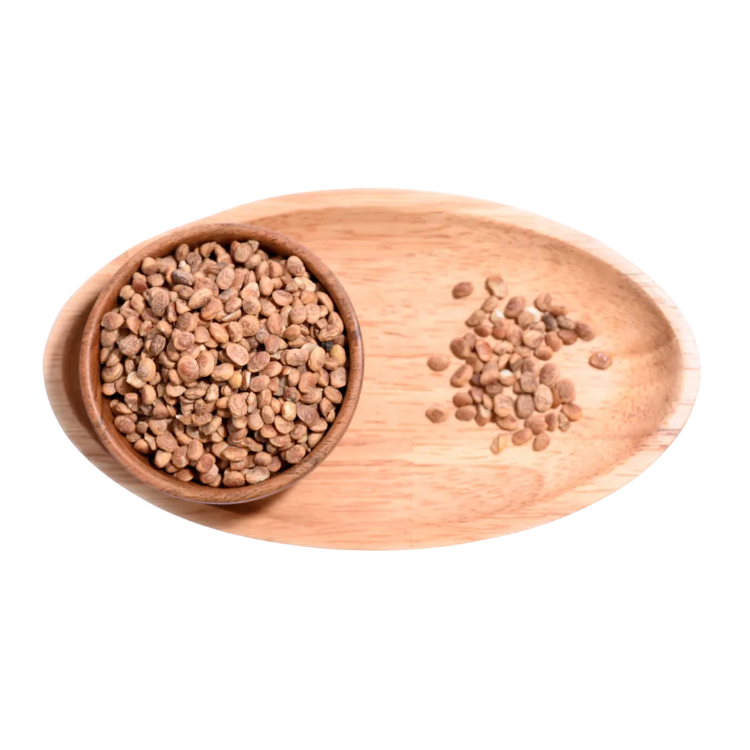 Raw Chironji Seeds Charoli Nutty Flavor Superfood for Energy