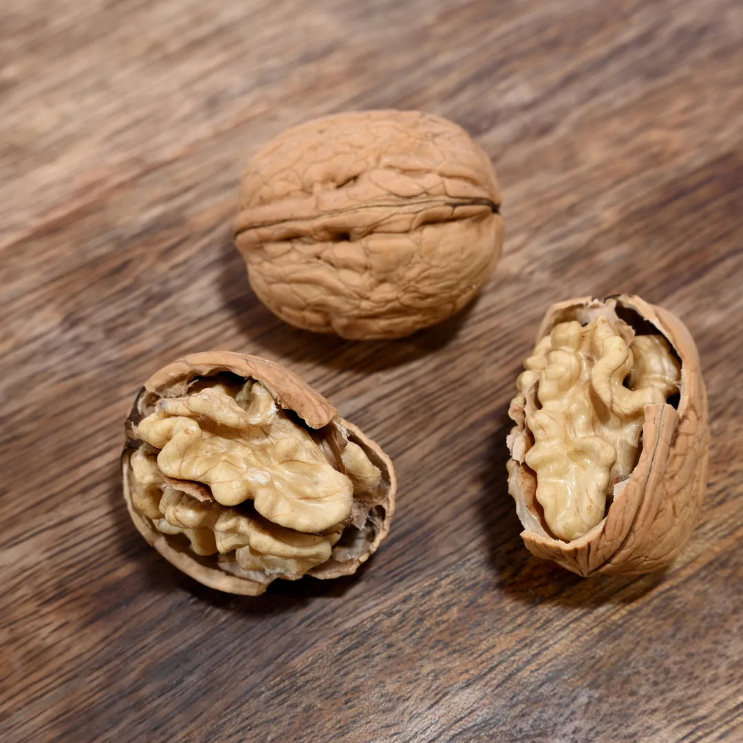 Premium Akhrot Chile walnuts with shells, nutritious nuts for snacking and recipes