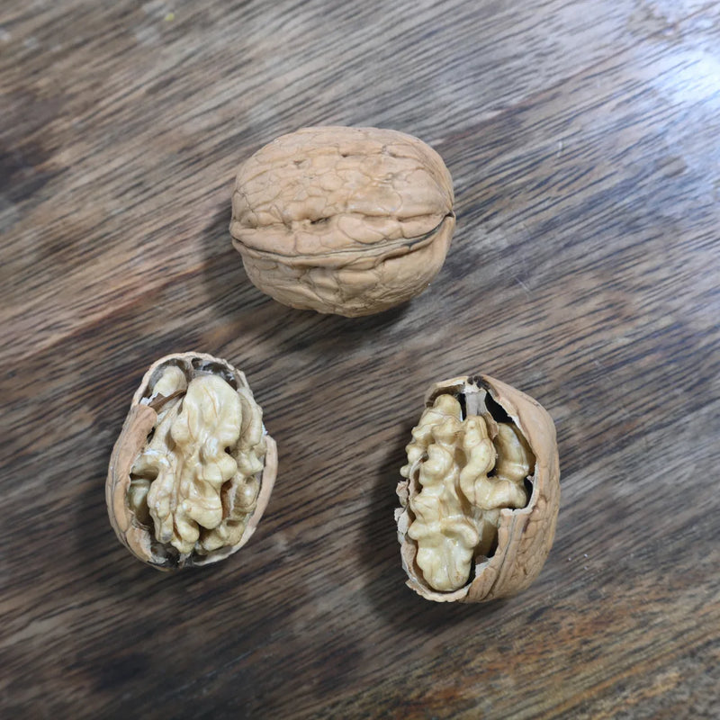 By shopping with house of rasda online for premium Inshell kasmiri walnuts.