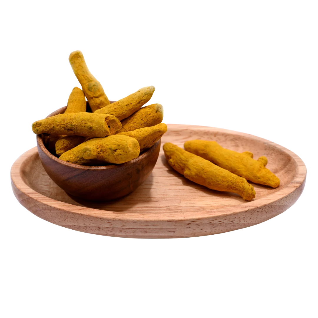 Organic turmeric stick or haldi gatiya in wooden bowl rich in curcumin and flavor