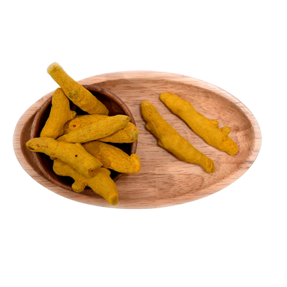Dried turmeric stick or haldi gatiya used in Indian kitchen and Ayurvedic remedies