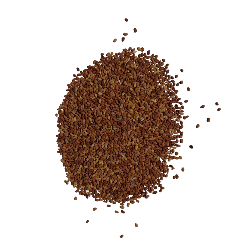 Alfalfa seeds, known as the "father of all foods," is revered for its exceptional nutritional value. A distinguishing feature of the alfalfa plant is its deep-reaching roots, allowing it to absorb an abundance of minerals from the soil. 