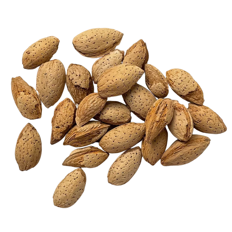  Buy Almonds inshell also known as Kagzi Badam 