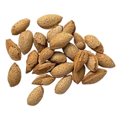 Almonds Inshell / Kagzi Badam