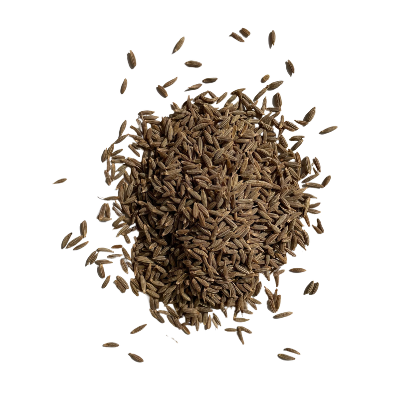 Jeera or cumin seed is an ancient Indian spice