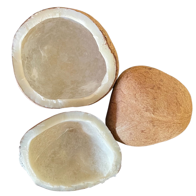 Buy Dry Coconut Halves or Copra Online in Bangalore, India