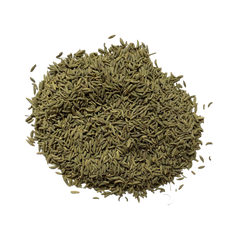 This Fennel Lucknow or Saunf is dark green in color