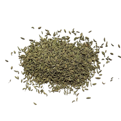 Fennel Seeds or Saunf Improve Digestive Health
