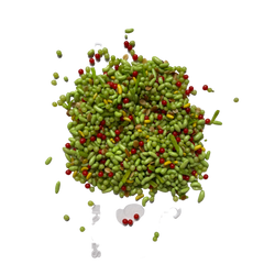 Green mix mouth freshener are prepared using the most luxurious ingredients in a very hygienic condition to insure better quality and flavors.