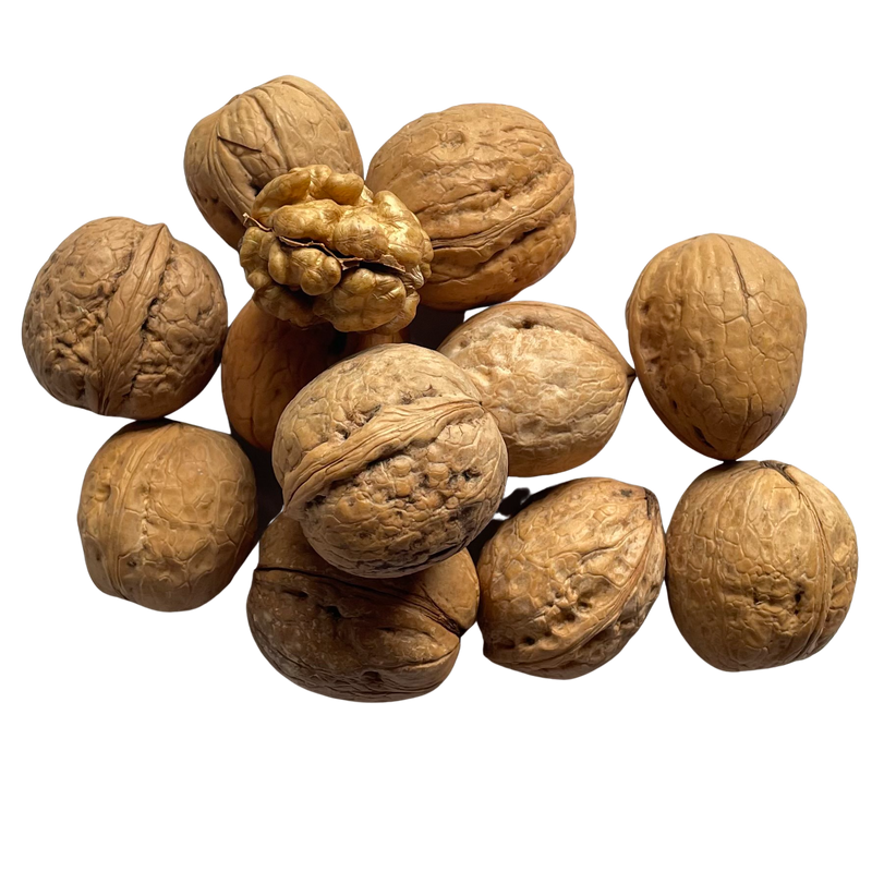 Walnuts Inshell Kashmiri / Akhrot