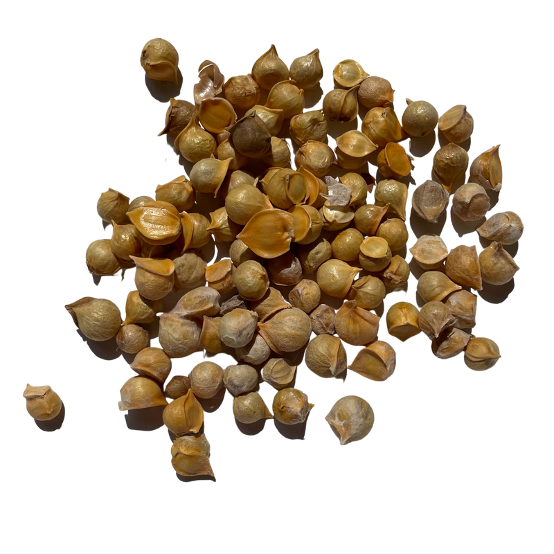 Organic Kashmiri Garlic Single clove or Lehsun or Mountain Garlic, varies depending on the quality and quantity purchased.