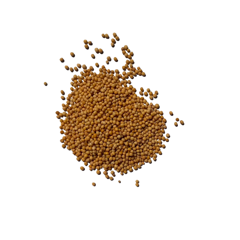 Yellow Mustard Seeds or peeli sarson is used with Masalas in Tadka as seasoning.