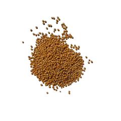 Yellow Mustard Seeds or peeli sarson is used with Masalas in Tadka as seasoning.