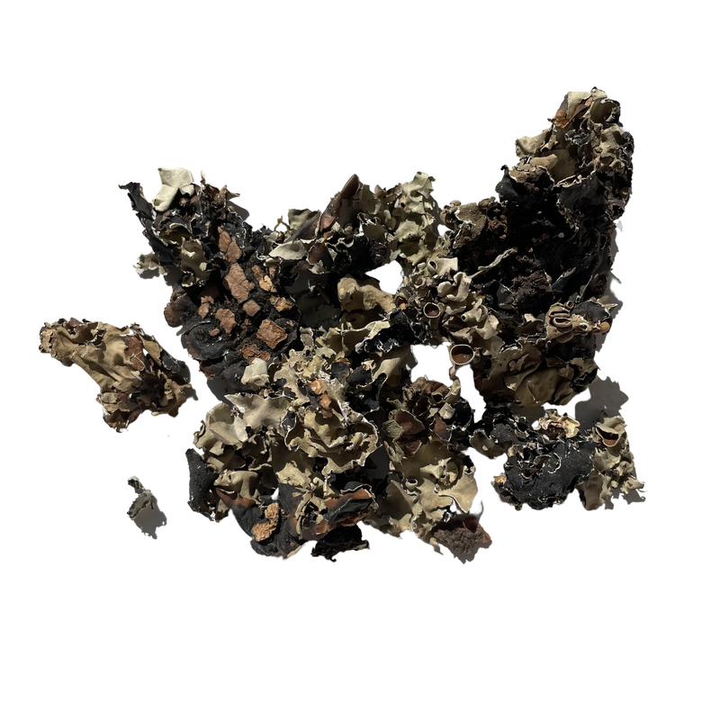 Stone flower or Dagad Phool is carefully sourced, cleaned, and processed to retain its authentic flavor and aroma. 